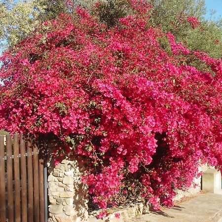 Casa A 300Mt.Dal Mare Calasinzias, 6 Letti, Ac, Pets Welcome, Wi-Fi Free Cala Sinzias Екстер'єр фото