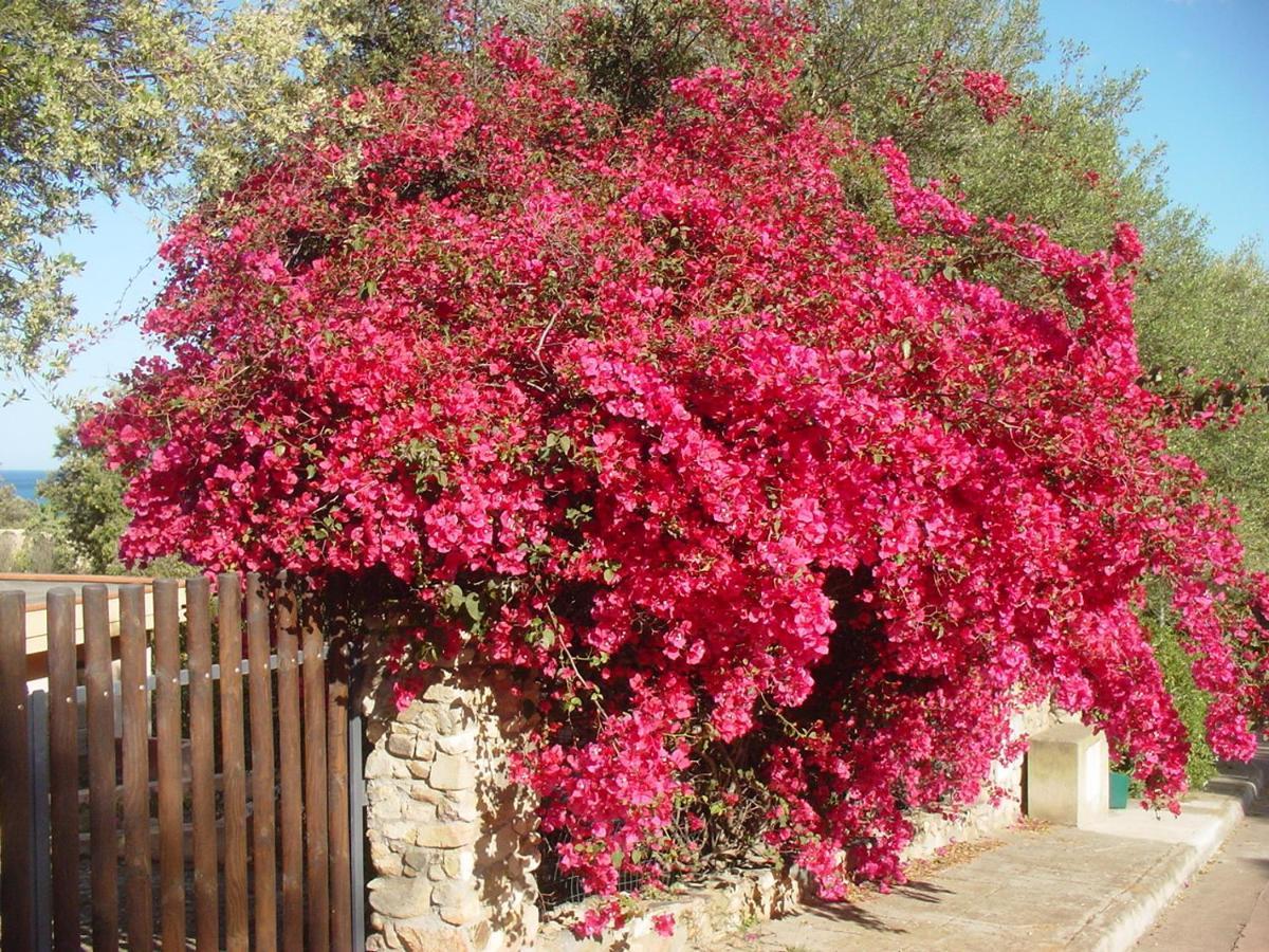 Casa A 300Mt.Dal Mare Calasinzias, 6 Letti, Ac, Pets Welcome, Wi-Fi Free Cala Sinzias Екстер'єр фото