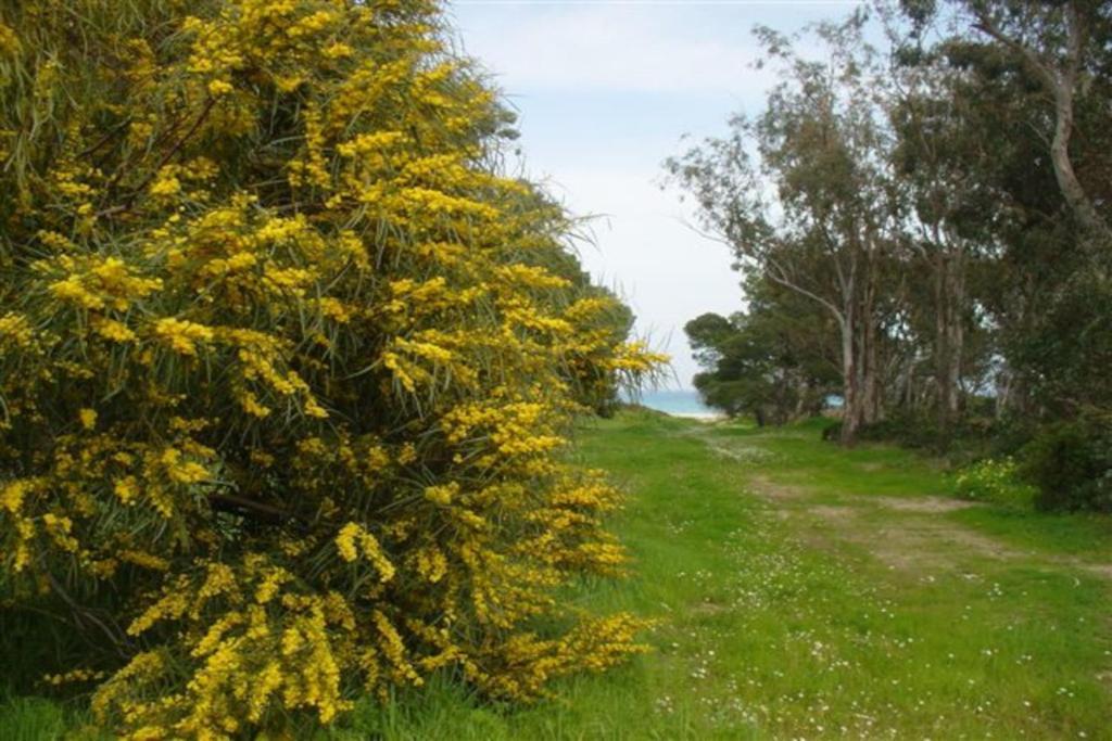 Casa A 300Mt.Dal Mare Calasinzias, 6 Letti, Ac, Pets Welcome, Wi-Fi Free Cala Sinzias Екстер'єр фото